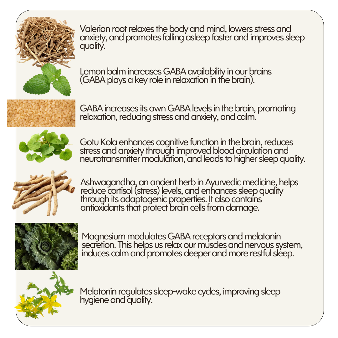 Natural Calm & Sleep Aid – Anti-Anxiety & Anti-Insomnia Capsules