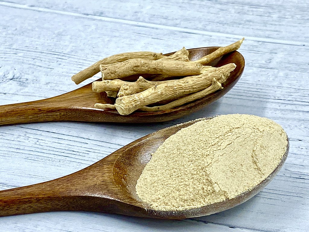 Should you take Ashwagandha Supplements?