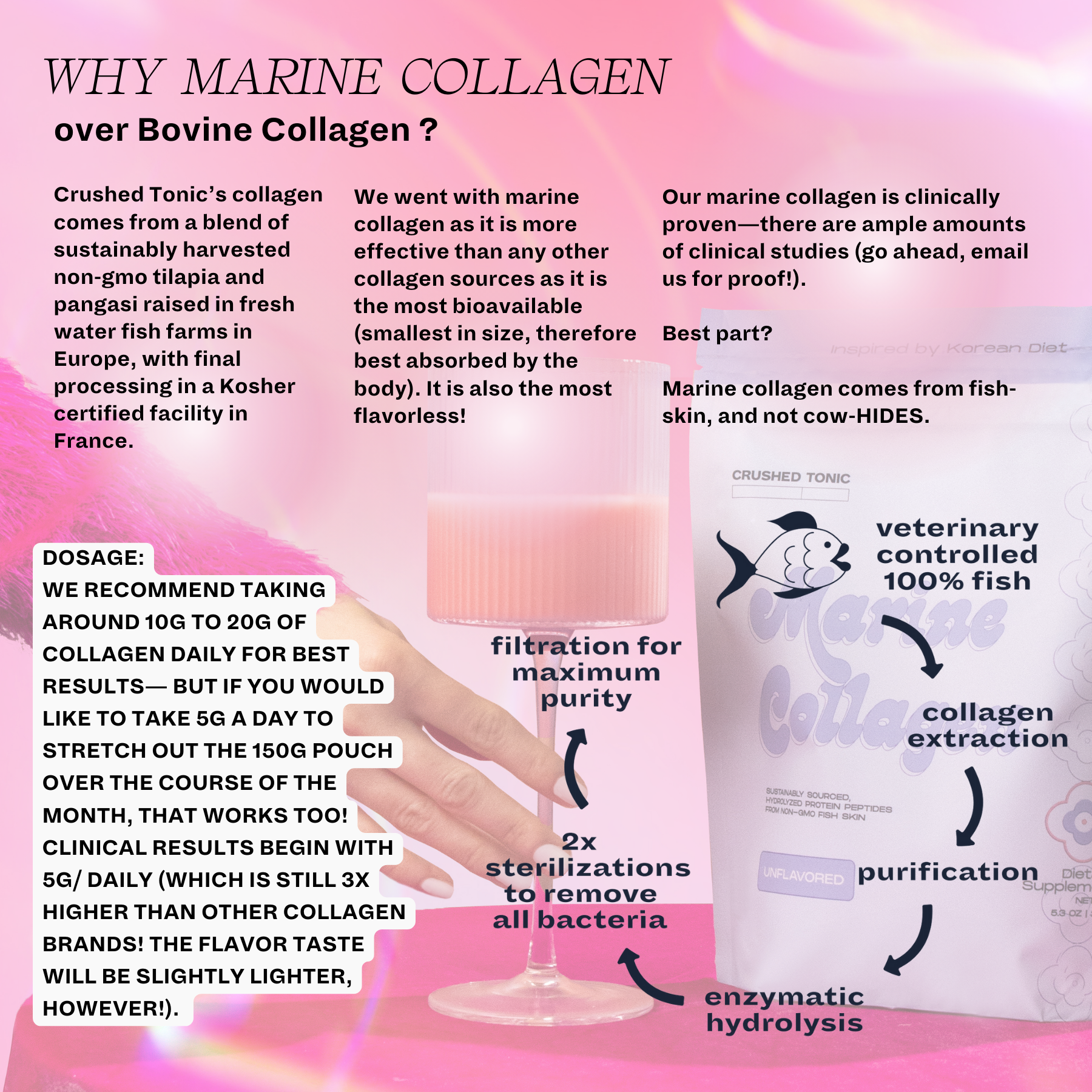 Chocolate Mylk Marine Collagen | LTD EDITION