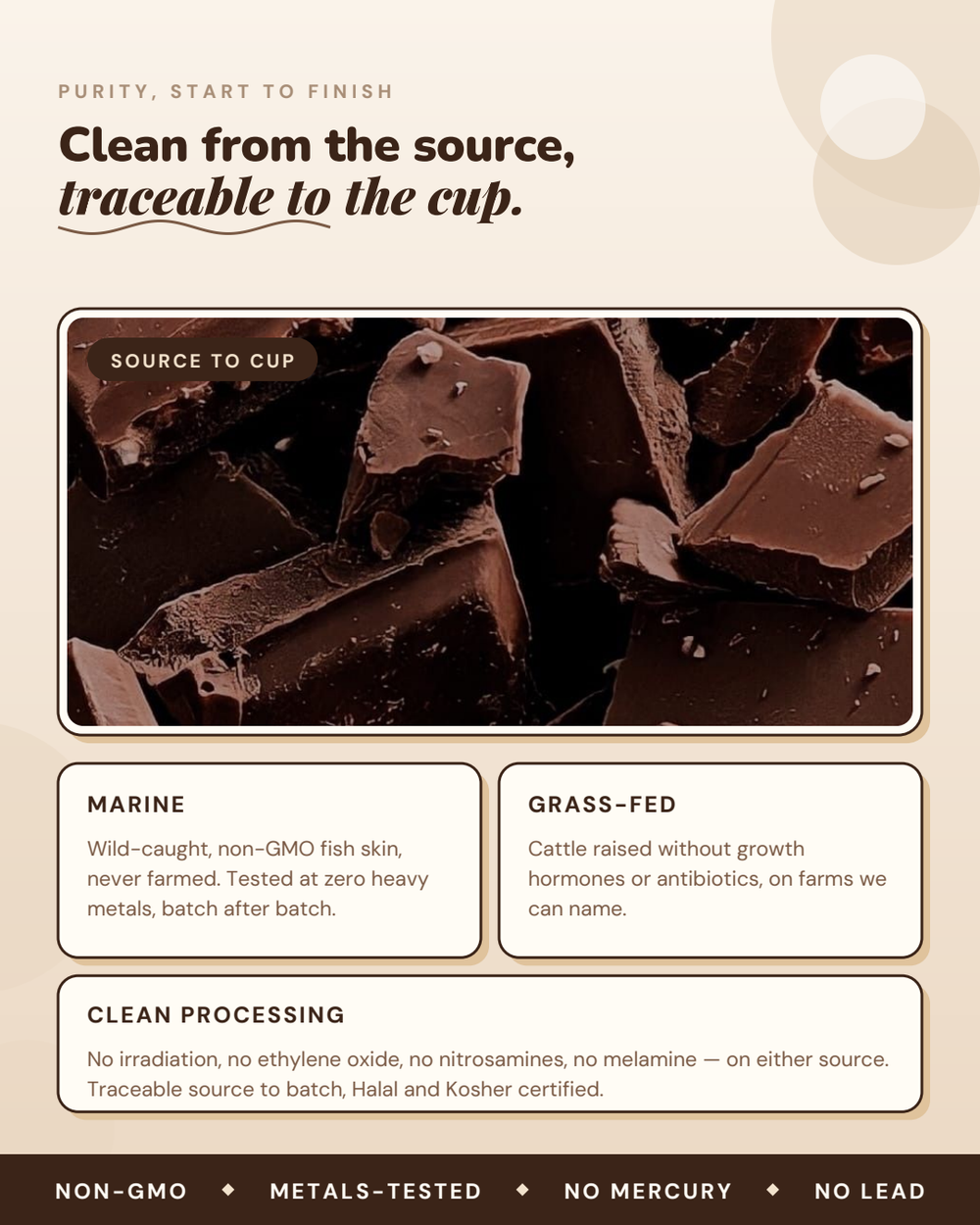 Chocolate Milk Collagen