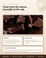 Chocolate Milk Collagen