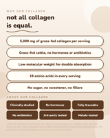 Hojicha Collagen