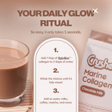 Chocolate Milk Collagen