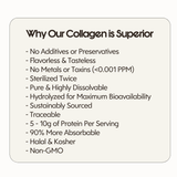Fish Broth Collagen Sample