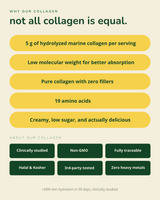 Vanilla Bean Collagen Creamer