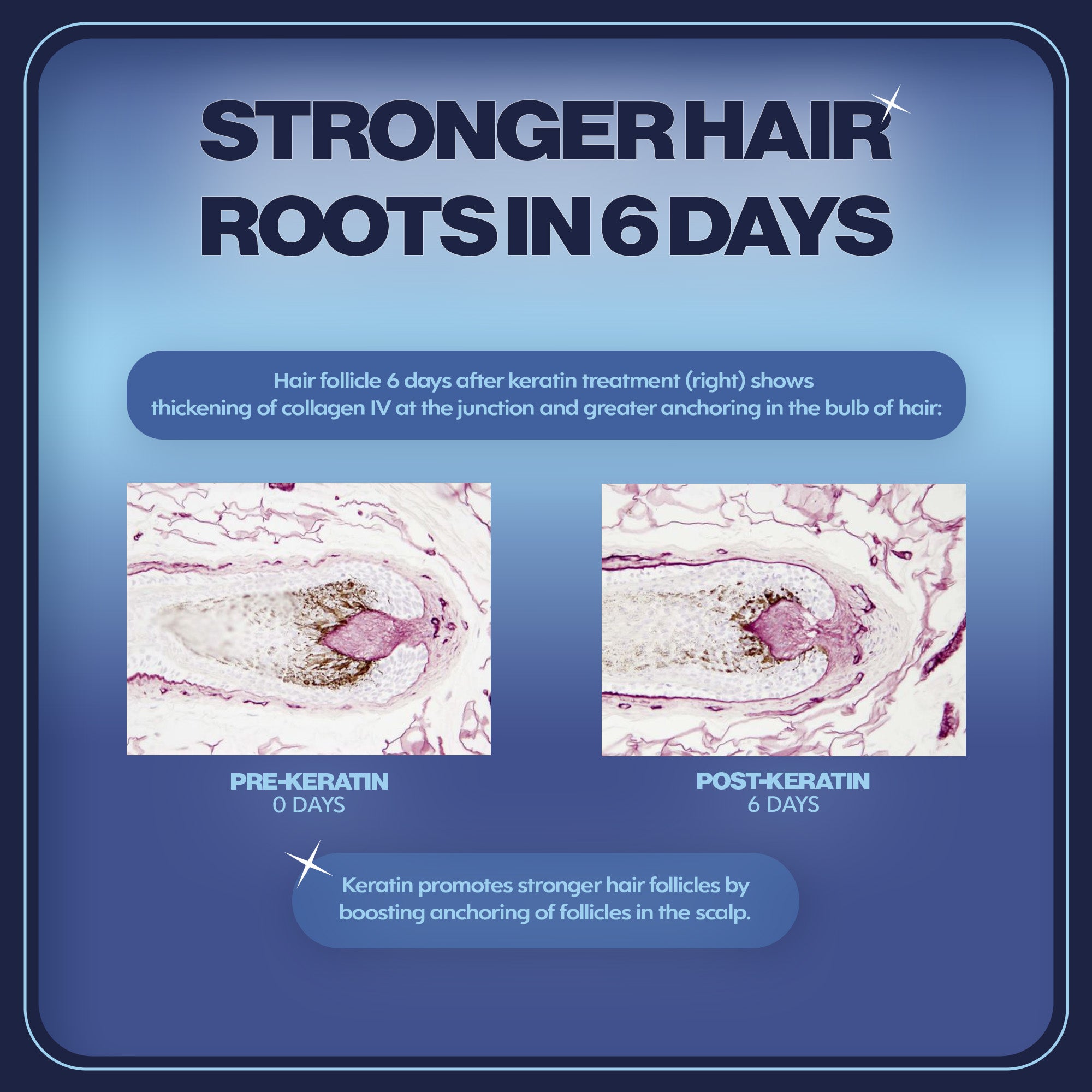 Keratin Hair Growth Booster Capsules | Shipping January