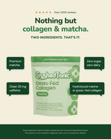Pure Matcha Collagen